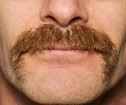 Movember mustache Stock Photos
