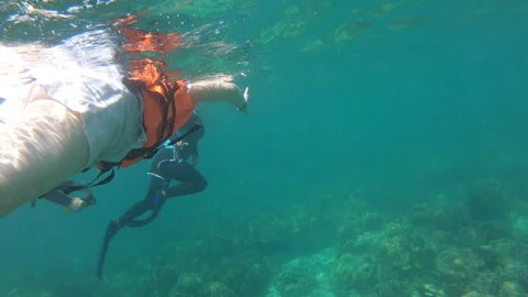 The movement action camera Stock Footage 150017315