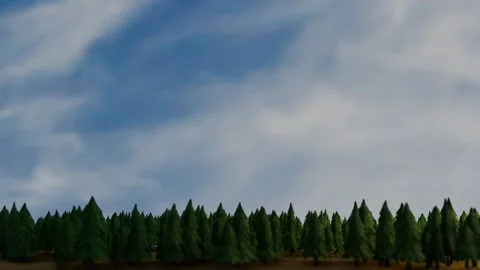 Movement along 3D models of coniferous forest against blue sky. 3D render looped Stock Footage 305157645