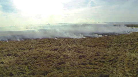 Movement along the border a fire. Aerial view Video stock 41976103