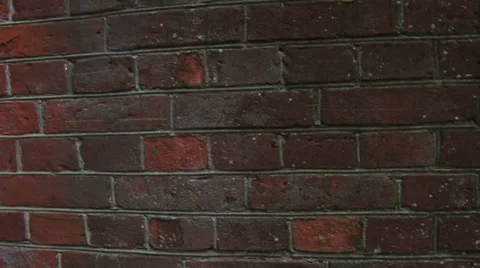 Movement along the brick wall Video stock 32218301