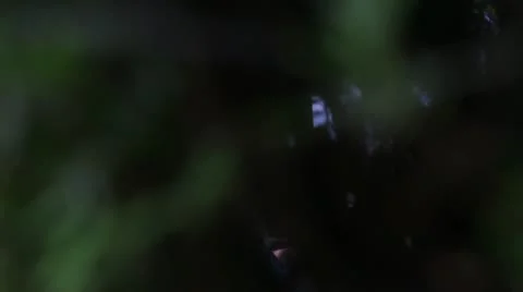 Movement along the columns on the beach Stock Footage 21927236