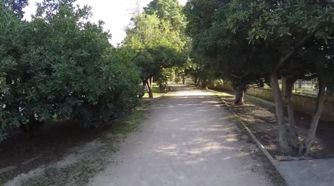 Movement along a deserted path in the park, which is surrounded by trees Stock Footage 47968101
