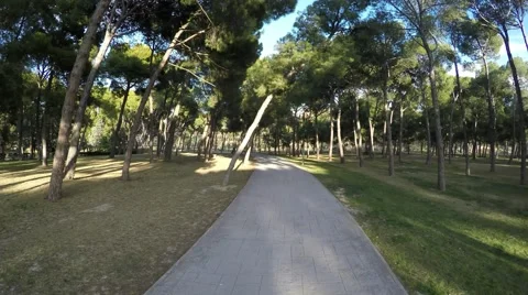 Movement along a path in a park on a sunny day 스톡 동영상 47966356