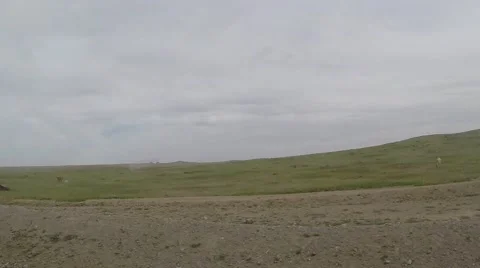 Movement Along Road in Mongolian Steppe Past a Herd of Goats at Low Speed Pov Stock Footage 62569865