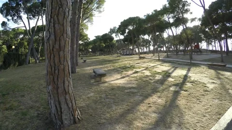 Movement along the row of trees and benches in the park on a sunny day 스톡 동영상 47992585