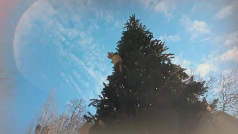 Movement around outdoor Christmas tree decorated with gifts and twinkling Stock Footage 333515607