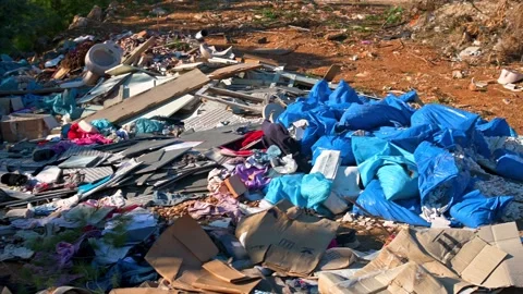 Movement around trash and construction waste on the ground in a local park. Stock Footage 295200906