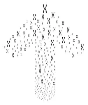 Up Movement Arrow Composition with Chromosome Stock Illustration