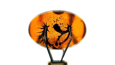 Movement of black liquid inside the oval shell Stock Footage 99560422