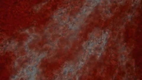 Movement of blood under the microscope Stock Footage 87919335