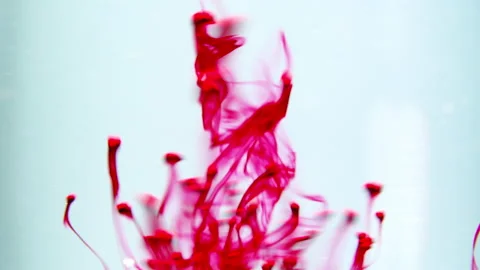 Movement of blue circles under water on red background. Stock Footage 227860029