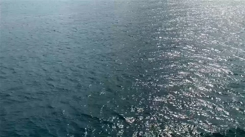 Movement of blue clear wave on the sea background. Stock Footage 88773545