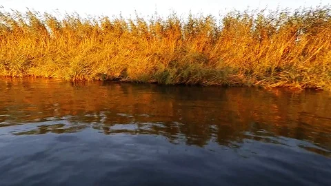 The movement of a boat on the river Stock Footage 89425771