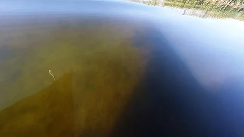 The movement of a boat on the river Stock Footage 89587329