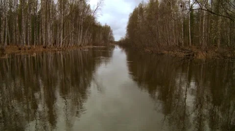 Movement by a boat on the taiga river Vídeos de archivo 7753829
