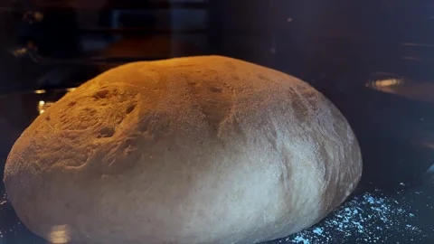 Movement of bread in the oven.Time lapse of baking bread. Stock Footage 296213605