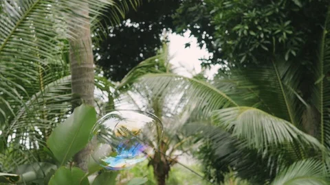 Movement bubbles floating in the air. 库存影片 127917495