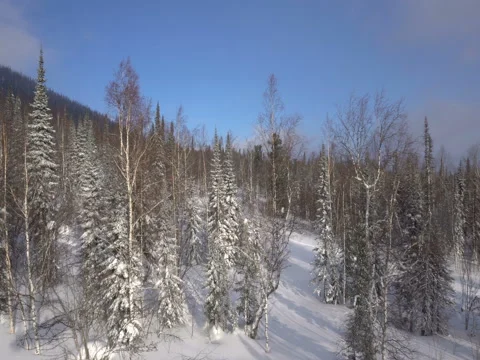 Movement of the cable car in the mountains Video stock 70926018