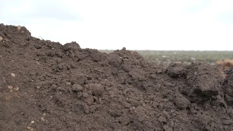 The movement of the camera is like an imitation of peering out of the trench. Stock Footage 233378292