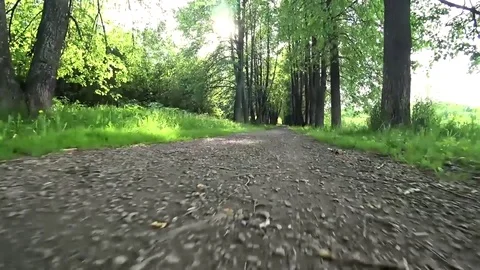 Movement of the camera low to the footpath in the park Stock Footage 76704740