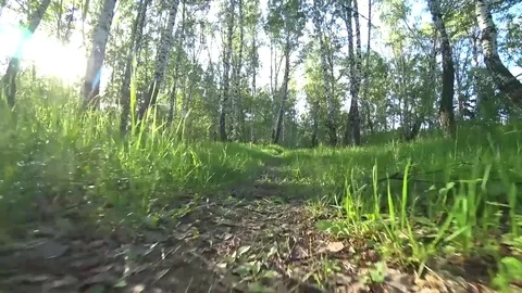 Movement of the camera low to the footpath in the park Stock Footage 76704941