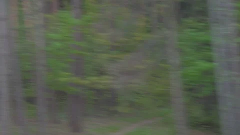 The movement on the car look out the side window Stock Footage 108395493