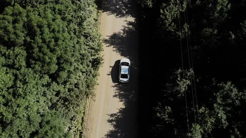 Movement of the car on top of the forest road. Stock Footage 111391442