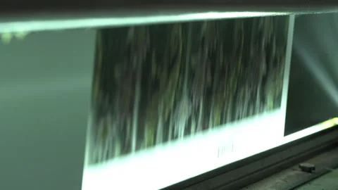 Movement of cardboard web during defect inspection in shop Stock Footage 295151729