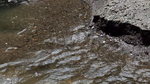 Movement of clear water ripples on the edge of a sandy river Stock Footage 297657553