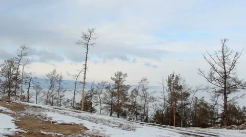 Movement of clouds above the forest on Olkhon Island, Lake Baikal,  Stock Footage 64932903