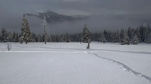 Movement of clouds and mist. Time lapse Stock Footage 74785048