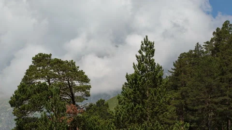 Movement of clouds and water flows in a stormy river in the Caucasus mountais Stock Footage 87344916