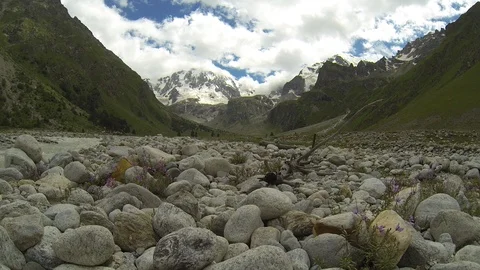 Movement of clouds and water flows in a stormy river in the Caucasus mountains Stock Footage 87532845
