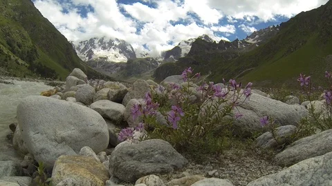 Movement of clouds and water flows in a stormy river in the Caucasus mountains Video stock 87533106