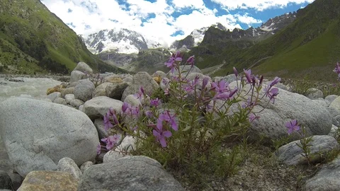 Movement of clouds and water flows in a stormy river in the Caucasus mountains Stock Footage 87533121