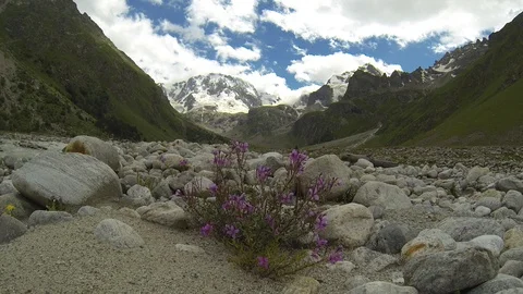 Movement of clouds and water flows in a stormy river in the Caucasus mountains Stock Footage 87533238