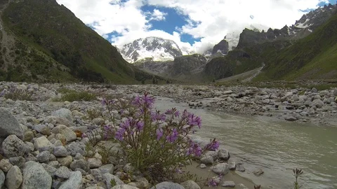 Movement of clouds and water flows in a stormy river in the Caucasus mountains Video stock 87533483