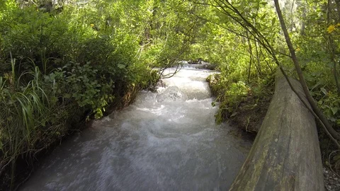 Movement of clouds and water flows in a stormy river in the Caucasus mountains Stock Footage 87535366