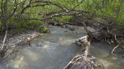 Movement of clouds and water flows in a stormy river in the Caucasus mountains Stock Footage 87535393