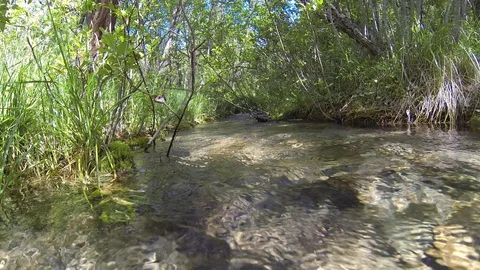 Movement of clouds and water flows in a stormy river in the Caucasus mountains Stock Footage 87535476