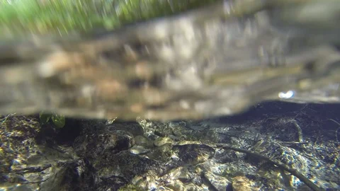 Movement of clouds and water flows in a stormy river in the Caucasus mountains Stock Footage 87535507