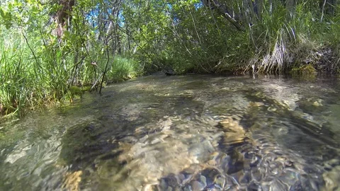 Movement of clouds and water flows in a stormy river in the Caucasus mountains Stock Footage 87535516