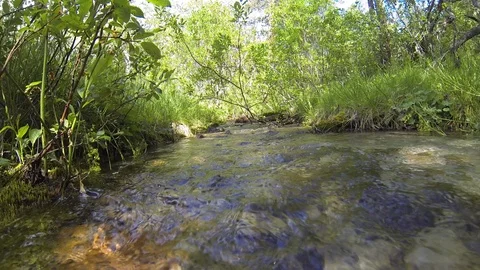 Movement of clouds and water flows in a stormy river in the Caucasus mountains Stock Footage 87535605