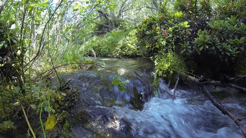 Movement of clouds and water flows in a stormy river in the Caucasus mountains Stock Footage 87535615