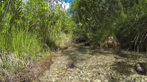 Movement of clouds and water flows in a stormy river in the Caucasus mountains Stock Footage 87535641