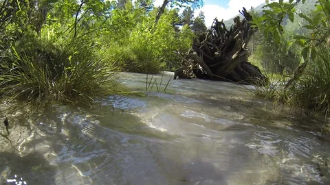 Movement of clouds and water flows in a stormy river in the Caucasus mountains Stock Footage 87535713