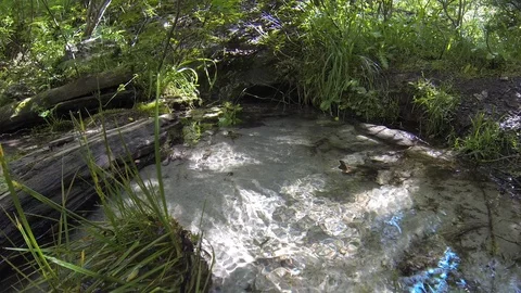Movement of clouds and water flows in a stormy river in the Caucasus mountains Stock Footage 87535730