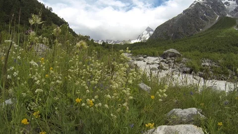 Movement of clouds and water flows in a stormy river in the Caucasus mountains Stock Footage 87536623
