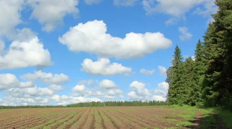 Movement of the clouds over the field. Pochinok village, Sverdlovsk region Stock Footage 58586447